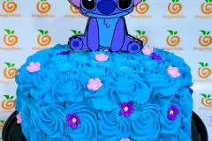 Torta stitch